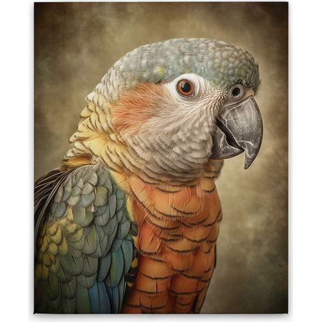 Leinwandbild Papagei M1-No.52250 - Kunstdruck auf Leinwand in Bunt Orange - Wandbild 40 x 50 cm