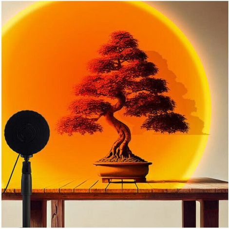 2 lampes coucher de soleil LED (1/5)