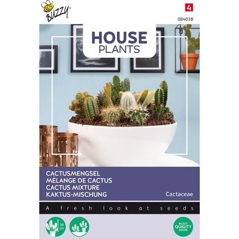 Buzzy House plants Cactée Mélange de différentes espèces Semences (1/2)
