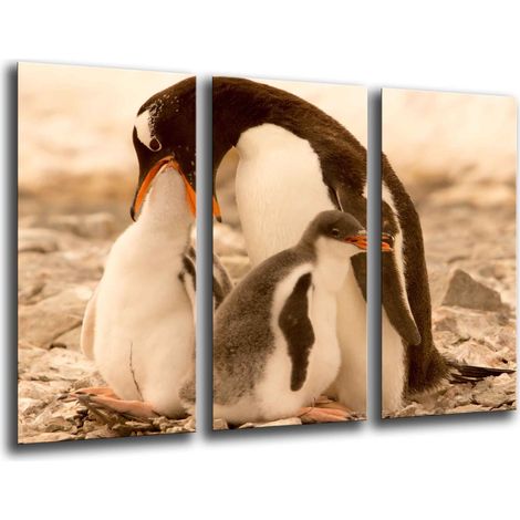 Cadre photo poster photographique multicolore 97 x 62 cm (1/3)