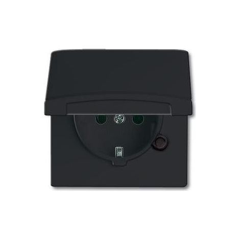 ABB 2CKA002064A0290 Geräteeinsatz IP44 Schwarz-Grau, Anthrazit (1/5)