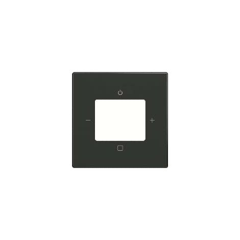 Busch-Jaeger Plaque centrale avec impression Busch-Radio anthracite - plateforme 63 (8252-81-101), 2CKA008200A0248