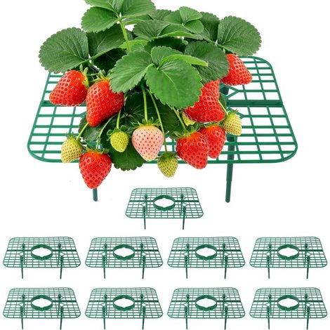 Support pour Plants de Fraises, 10 Supports carrés pour Maintenir Les Fraises Hors du Sol, Supports de Jardin réutilisables pour la Culture de Fraises en Plein air (1/5)