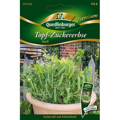 Quedlinburger Topf-Zuckererbse Norli - Premium Gemüsesamen