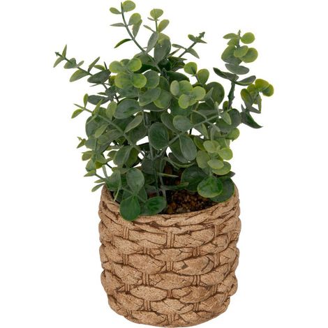 Eucalyptus Artificiel en Pot "Jaye" 27cm Vert (1/4)