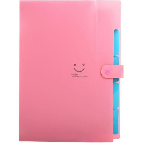 Organizador de archivos, Bonitas carpetas para documentos A4, Organizador de documentos con 5 compartimentos, 32,5 cm  24  1,7 cm (1/5)