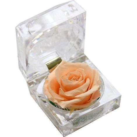 1 rose qui ne se fane jamais (1/3)
