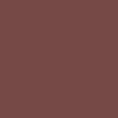 Peinture Bois Cécil Professionnel PEB45 Rouge Pays Basque 0,5 L (1/3)