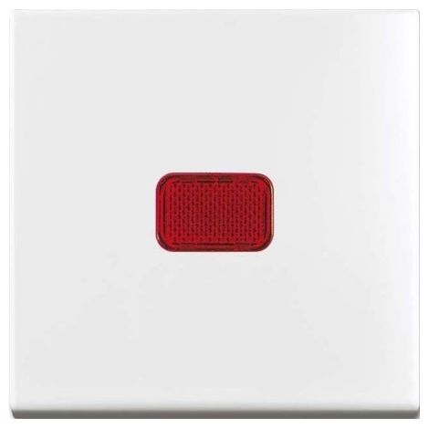 Placa de acabado Busch-Jaeger 2509-914 sin tornillos IP20