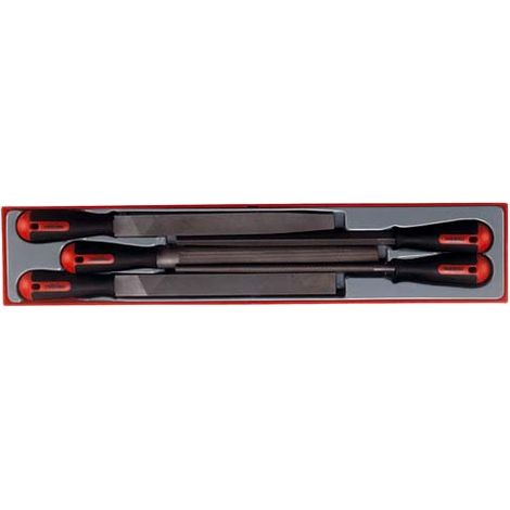 Teng Tools Set di 5 Lime Metalliche 10 Pollici