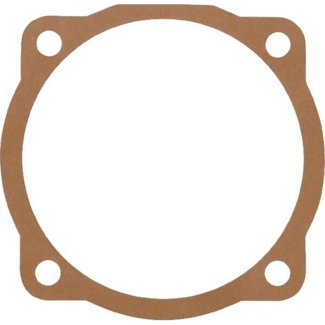 Dichtung M29100108R MASCHIO M29100108R