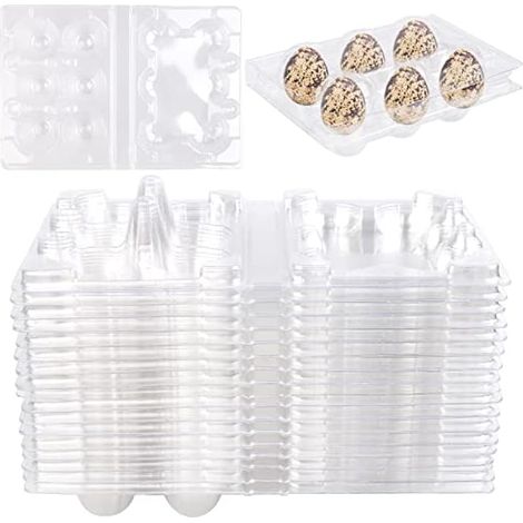 Vegena Lot de 50 boîtes à œufs de caille - 6 grilles - En PVC - Avec couvercle - Pour réfrigérateur (1/5)