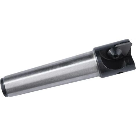 Fraise à plaquette Ø 30 mm pour fraiseuse G48140