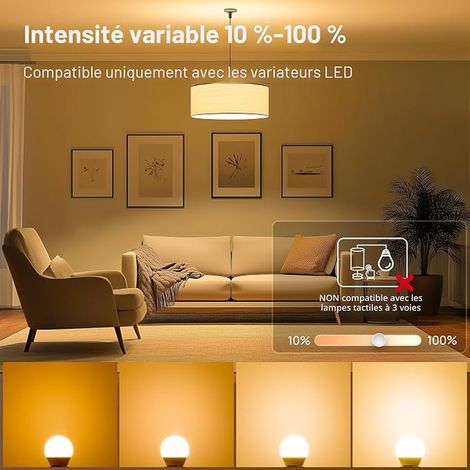 Ampoule LED E27 Dimmable, 4.2W Équivalent à 40W, Blanc Chaud 2700K 470lm, Ampoules Mini Globe G45 avec Culot à Vis Gros, Lampe Intensité Variable 220-240V,