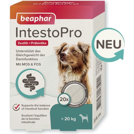 Beaphar IntestoPro Tabs für große Hunde - Unterstützt das Gleichgewicht der Darmfunktion - 20 Stück (1/4)