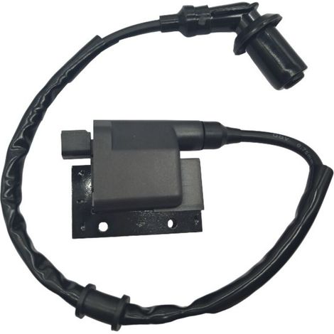 Bobine d'allumage haute tension pour motos Suzuki SV650 (modèles 1999-2002) / GS500E89. Pièce de rechange d'origine pour Suzuki SV650 1999-2002 / GS500E. (1/2)