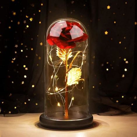 Fleur Artificielle - - Rose Éternelle - Dôme en Verre - Lumières LED - Cadeau Unique (1/5)