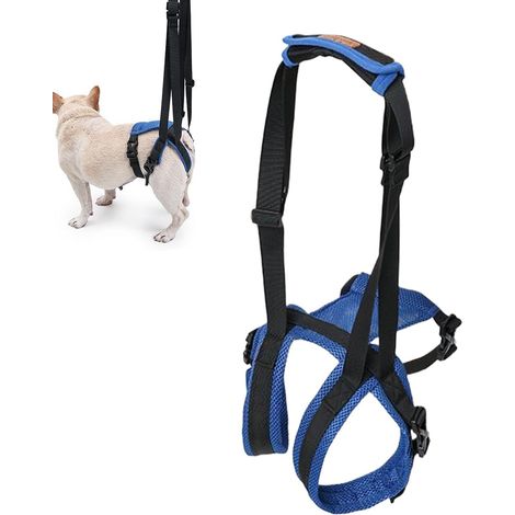 Harnais Soutien Chien Respirant Animal Respirant Hanche Levage arrière Sangle De Soutien Pour Aides À La Mobilité pour marcher toilettes postérieur patte petite sangle (1/5)