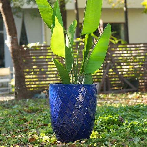 Pot de fleurs en céramique 42x54 cm bleu roi, respirant et résistant au gel pour jardin FloraGrace (1/5)
