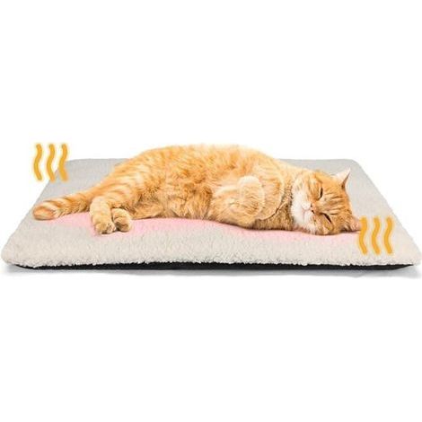 Réveil numérique à double alarme – Volume et luminosité réglables – Écran LED multicolore avec veilleuse – Fonction snooze et sauvegarde de la mémoire – Noir (1/5)