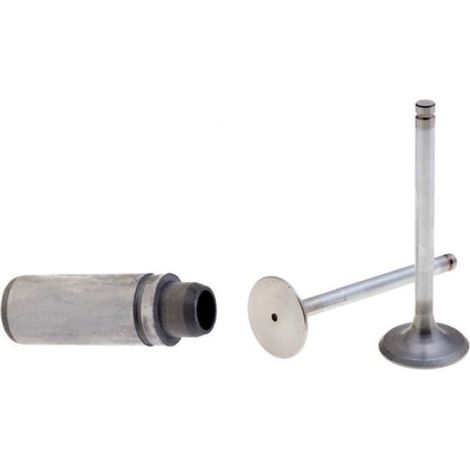 Kit valvole con guida valvole motore RUGGERINI RF80 960.49 960.50 464.77