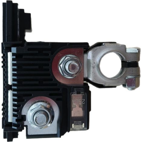 Convient pour le fusible positif de batterie automobile 24380-3JA1A 924-079 avec clips