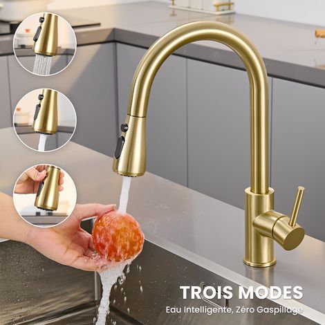 Mitigeur de cuisine à douchette extractible avec 2 jets, Robinet pour évier de cuisine avec douchette, pivotant à 360°, finition or brossé (1/5)