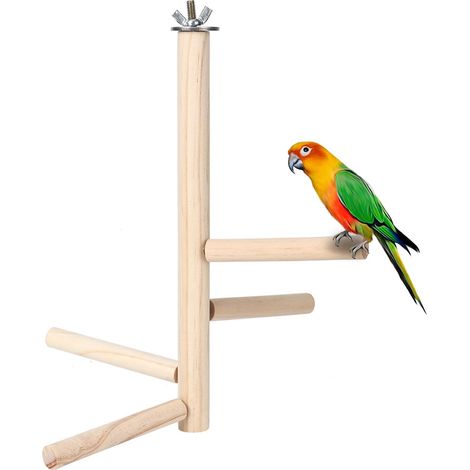 Support de Cage à oiseaux en bois, supports d'entraînement pour perroquets ou perruches, tourtereaux, calopsittes, support de repos (1/5)