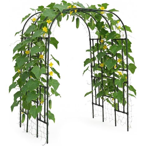 Arche de jardin dôme métal 218x160x119cm treillis rosiers vignes plantes grimpantes noir (1/5)
