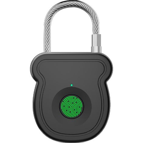 Cadenas F335 intelligent à empreinte digitale, verrou de sécurité rechargeable pour armoire