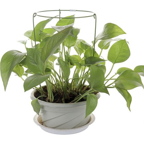Support de plantes grimpantes en métal et plastique vert - Treillis de 28 cm pour fixation facile et croissance optimale, stable et anticorrosion (1/5)