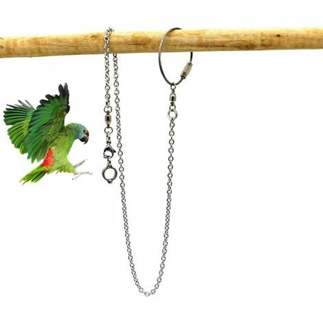 Bird Cage Accessories Parrot Foot Ring Stainless Steel, Parrot Foot Ring Chain, Opening Activity Chain for Cockatiel Cockatoo Sun Monk Parakeet Bird Stand Anklet(Length 50cm,Inner Hole 5.5mm)