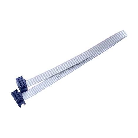 BKL Electronic 10120666 Câble en nappe Pas: 2.54 mm 6 x 0.08 mm² gris 1 pc(s) Q724602 (1/2)