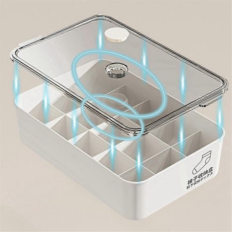 Staubdichte Aufbewahrungsbox mit großem Fassungsvermögen, eine Zehn-Fächer-Box mit Deckel.