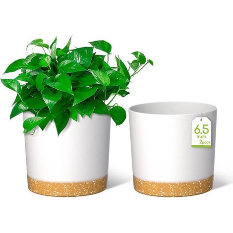 16 5 cm Pflanztöpfe moderne Pflanzgefäße mit Abflusslöchern und abnehmbarem Untersetzer Kunststoff-Blumentöpfe für Pflanzen für Haus Garten und Weiß (1/5)