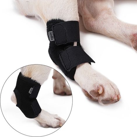 Support de jambe pour chien - Attelle courte pour chien (1/5)