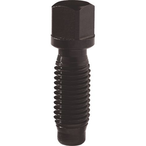 Vis de serrage Taille=A M7 L.21mm Carré de 8mm pour porte-outil interchangeable TECWERK (1/2)