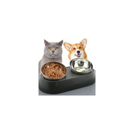 Bol surélevé en acier inoxydable 14cm – Inclinaison 15 degrés – Antidérapant et profond pour chats et petits chiens (1/5)