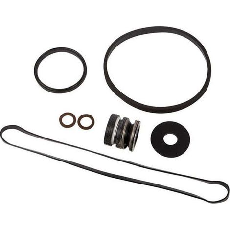Pack de joints pour pompe de filtration de piscine Max Flo - SPX1800GS - Hayward