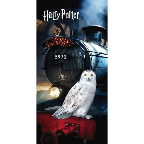 Strandtuch 70x140 Harry Potter Eule Hedwig Zug 8797 Kinder