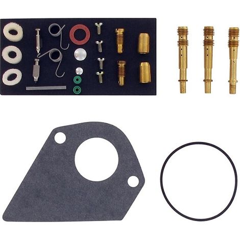 Dichtungssatz reparatursatz vergaser BRIGGS ET STRATTON 499220