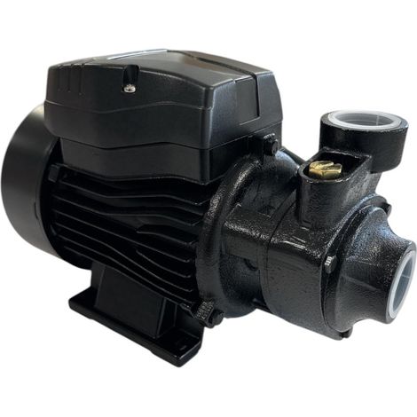 Elettropompa PERIFERICA in ghisa 0,37 Kw Portata fino a 35 Lt/min HP 0,5 Girante ottone (1/5)