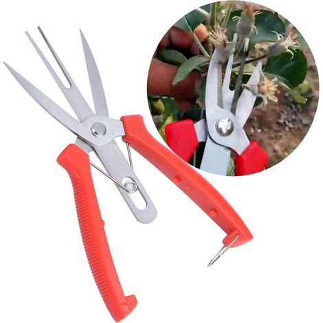 Filiyano-Cisailles de jardin pré-assemblées en acier inoxydable pour pommiers et poiriers (1/5)