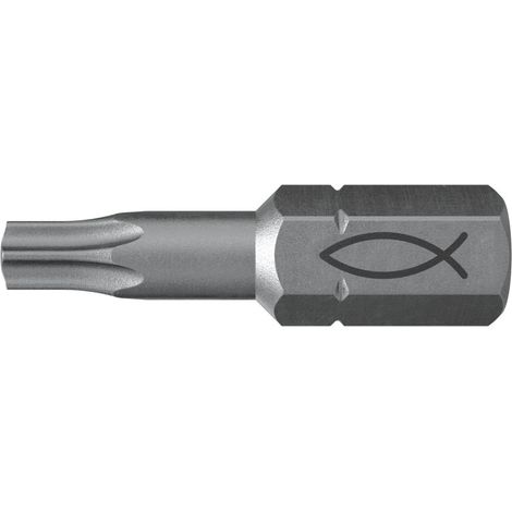 Fischer – Embouts professionnels Torx T20 25mm – Lot de 10 embouts en acier S2 – Résistance à l'usure – Pour couple élevé – 557847 (1/4)