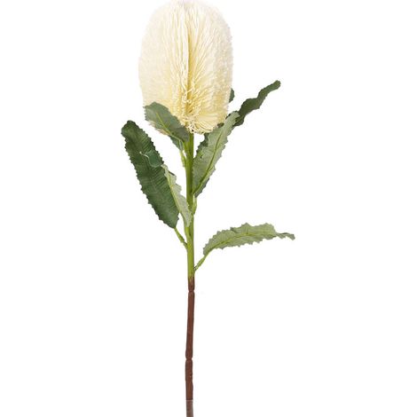Fleur artificielle Banksia, innovation, luxe, salon hôtel, blanc laiteux, blanc, décoratif, maison (1/5)