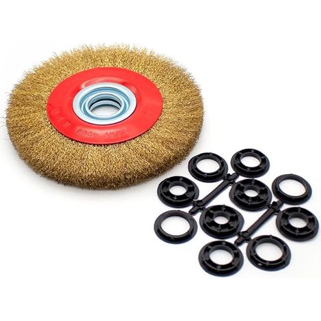 Metal Brush 150 mm Diameter 32 mm Interior (1/5)