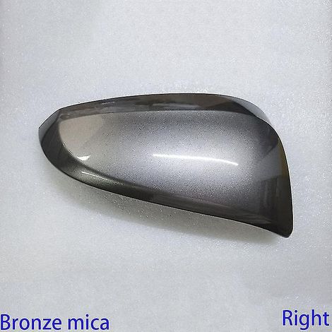 Accessoires auto - Coque de rétroviseur pour Toyota Rav4 2013-2019 - Boîtier de rétroviseur - Bronze mica - Droit (1/5)