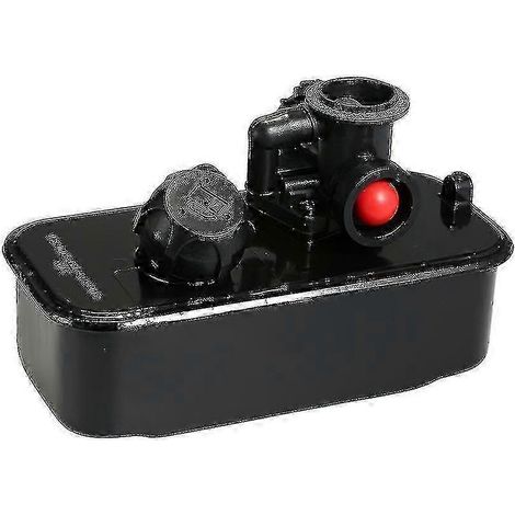 Réservoir de carburant et carburateur Briggs & Stratton - 494406 498809 (1/4)