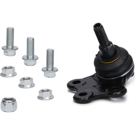 PASADOR DEL BRAZO DE CONTROL RENAULT MEGAN III "MS" (1/5)