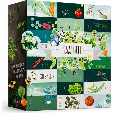 BOXILAND® calendario avvento semi 2026, 24 tipi, verdure erbe frutta fiori (1/5)